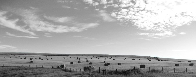 wide hay bales