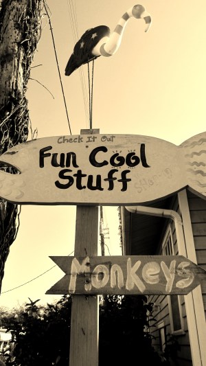 bradenton 2 2014 015