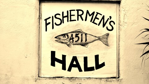 bradenton 3 2014 004