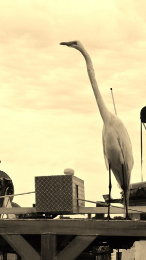 last day in bradenton 2014 april 18 043