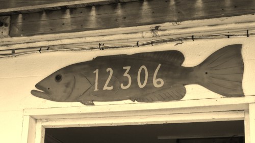 last day in bradenton 2014 april 18 071