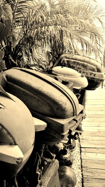 outboards