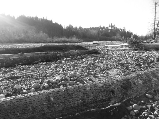 river logs