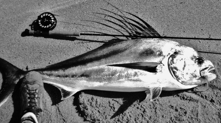 6-8-'12_bob's_grande_001