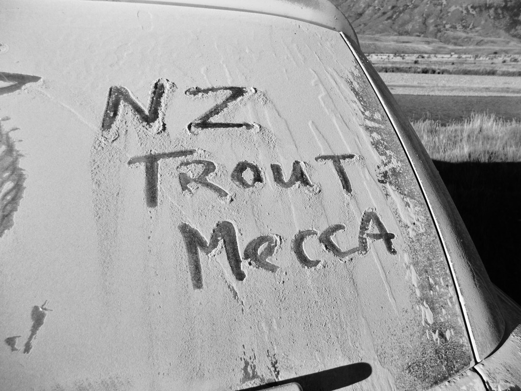 nz car window 2
