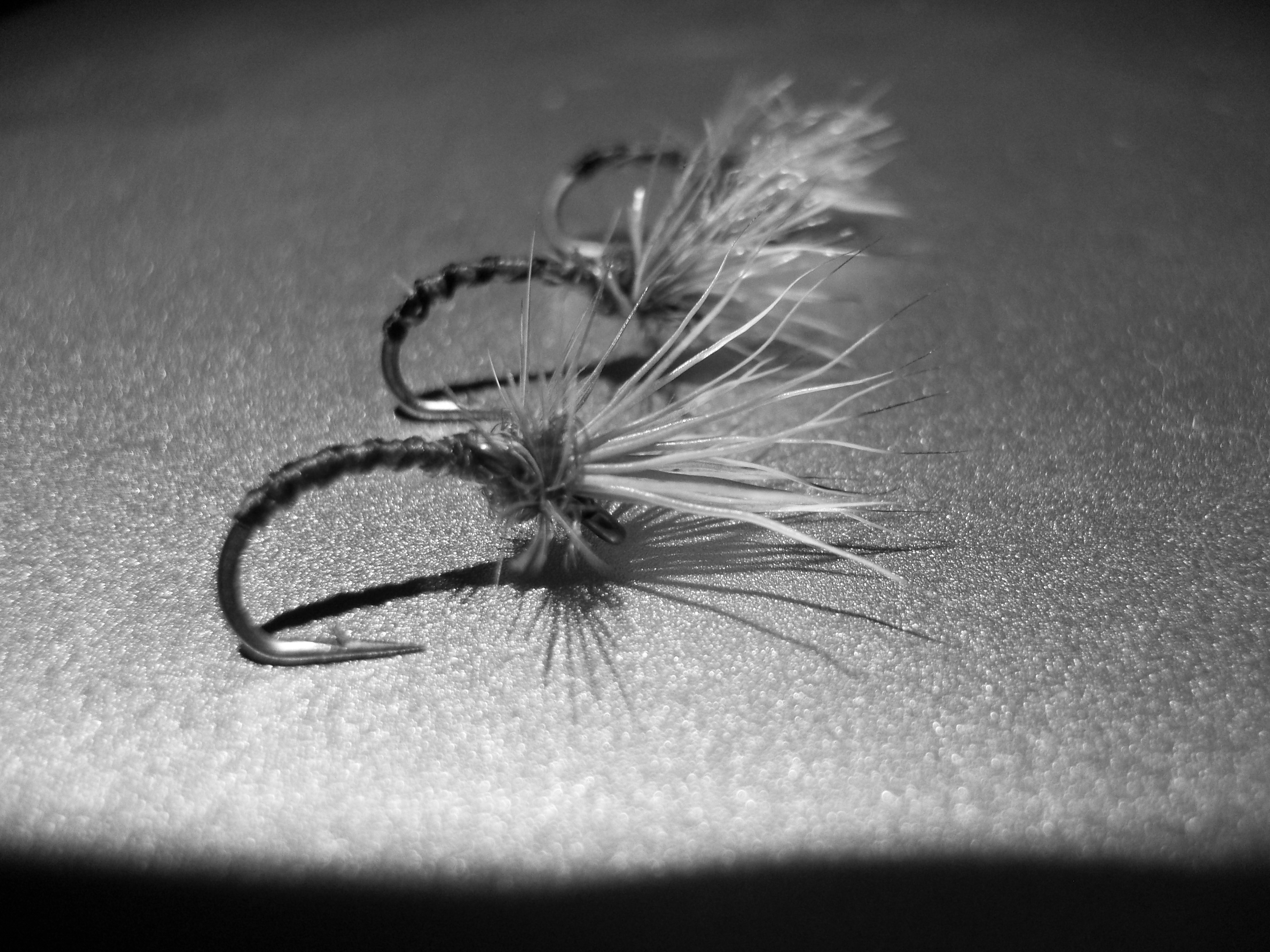 bwflies5